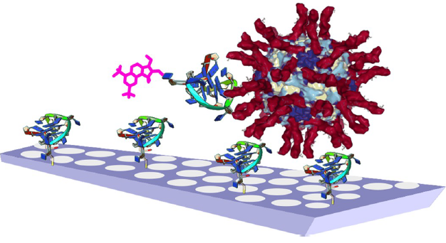 Comparison with other techniques for influenza virus detection