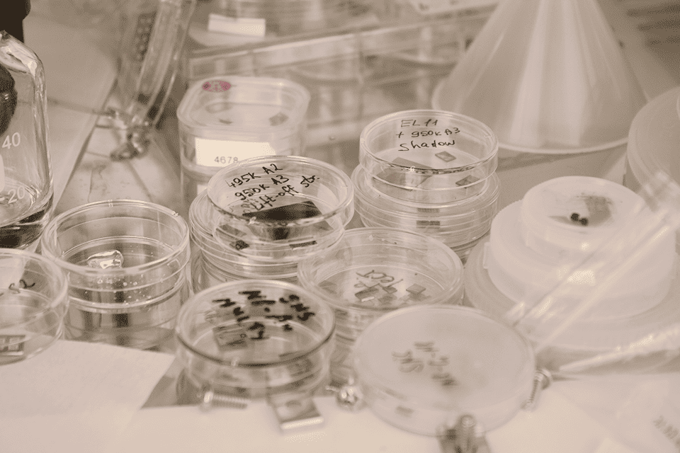 EnSpectr SERS Substrates for identification influenza virus