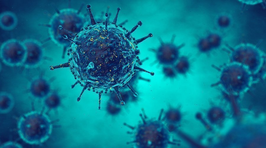 Fast and low-cost determination of influenza viruses