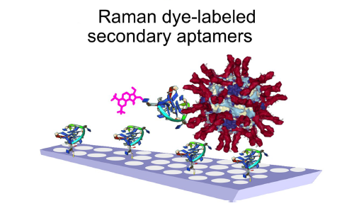 Highly sensitive detection of influenza virus with SERS aptasensor
