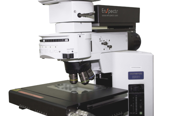 Raman Microscope M1064